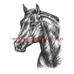 Obraz quarter horse, koně, tužka - tisk