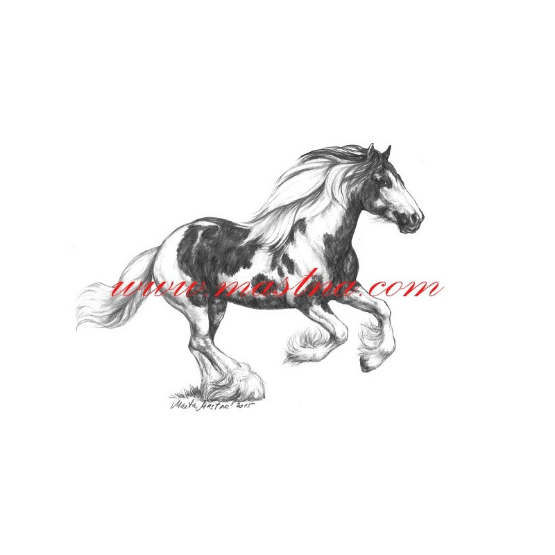 Autorský tisk irský cob, tinker