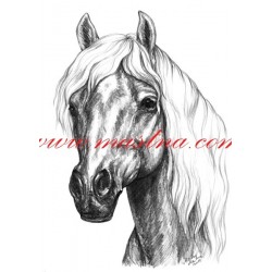 Obraz hafling, koně, tužka - tisk