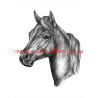 Autorský tisk minihorse, pony