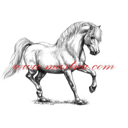 Autorský tisk welsh pony