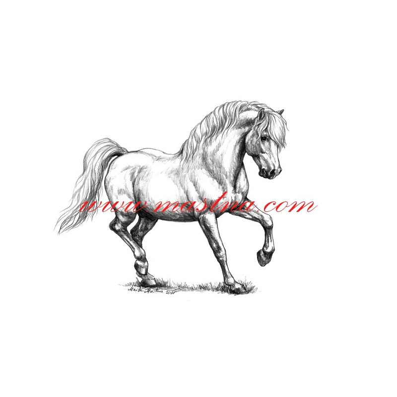 Autorský tisk welsh pony