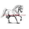 Autorský tisk welsh pony