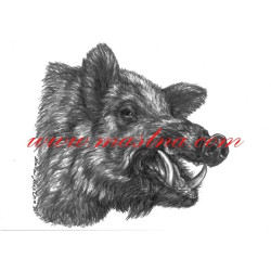 Autorský tisk divoké prase