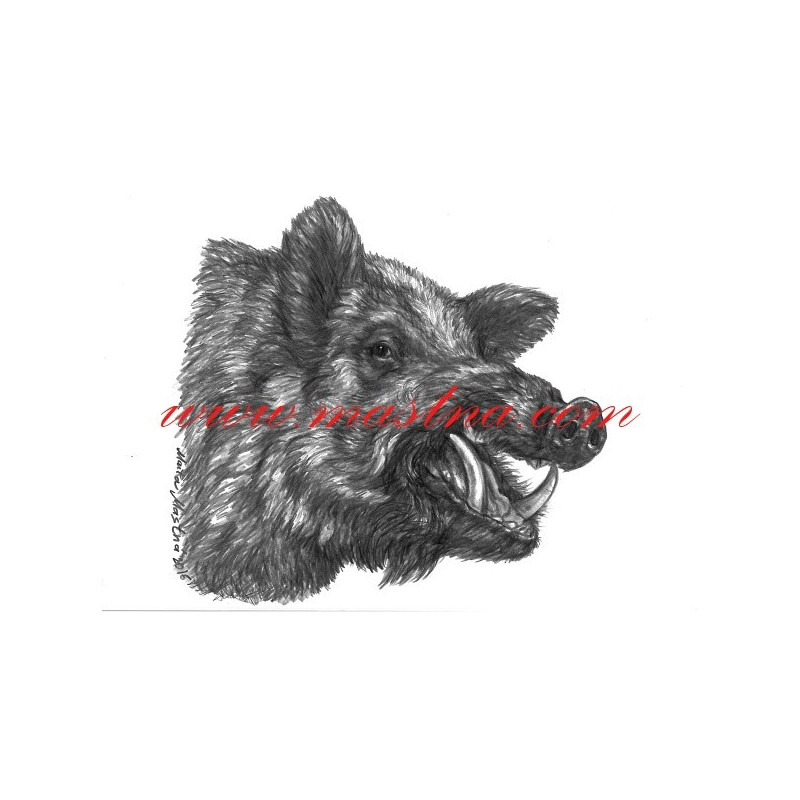 Autorský tisk divoké prase