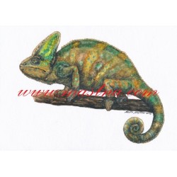 Obraz chameleon, akvarel - tisk