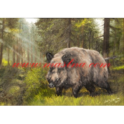 Autorský tisk divoké prase