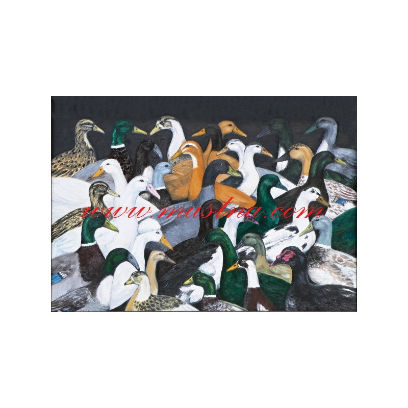 Autorský tisk kachny