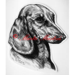 Jezevčík hladkosrstý