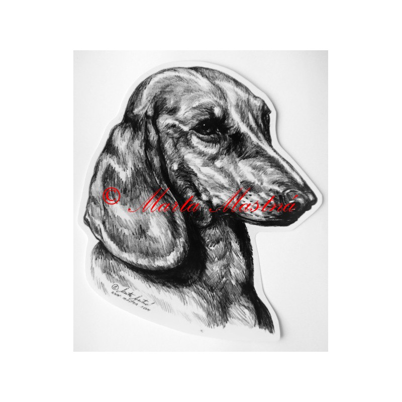 Jezevčík hladkosrstý