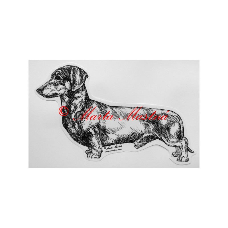 Jezevčík hladkosrstý