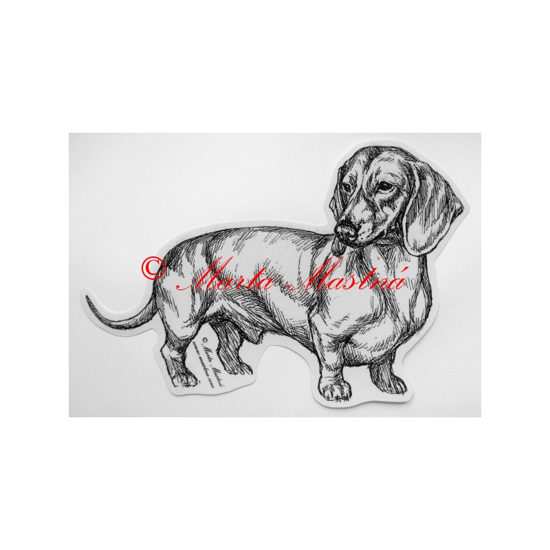 Jezevčík hladkosrstý