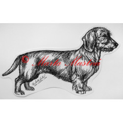 Jezevčík drsnosrstý