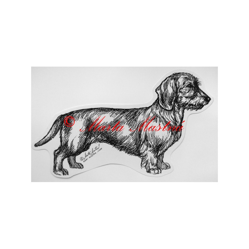 Jezevčík drsnosrstý