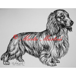 Jezevčík dlouhosrstý