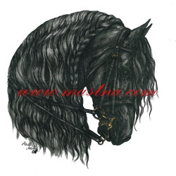 Autorský tisk fríský kůň