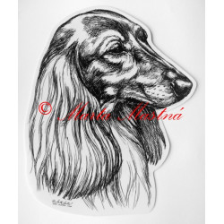 Jezevčík dlouhosrstý