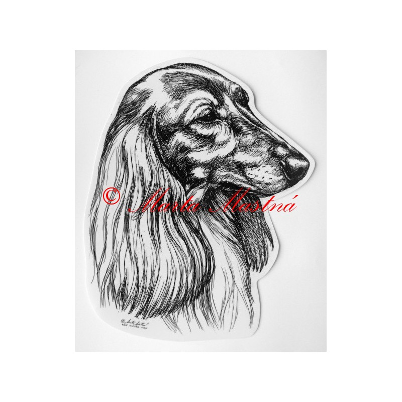 Jezevčík dlouhosrstý