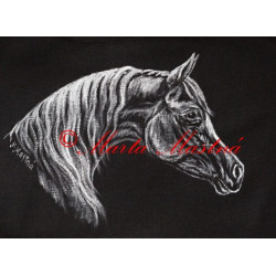 Malované tričko arab