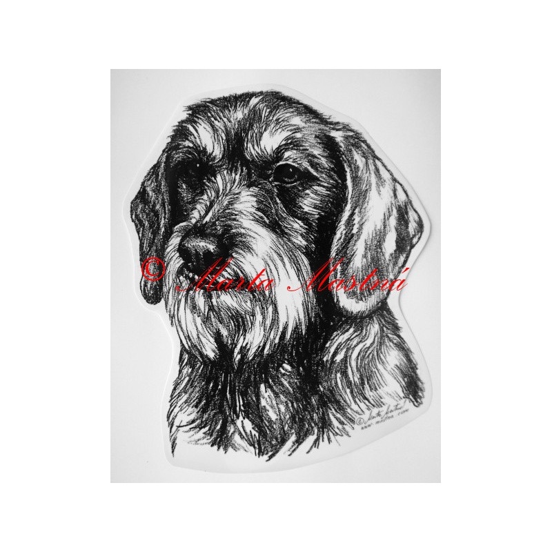 Jezevčík drsnosrstý