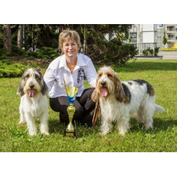 Malované košile vendéský baset