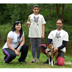 Malovaná trička basenži