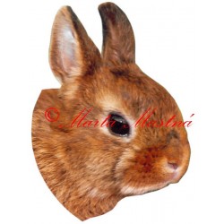 Samolepka králík zakrslý - archiv