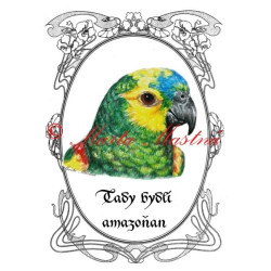 Amazoňan modročelý