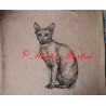 Malovaný polštářek kočka sfinx