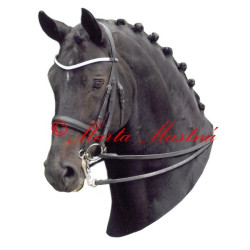 Samolepka teplokrevník drezura