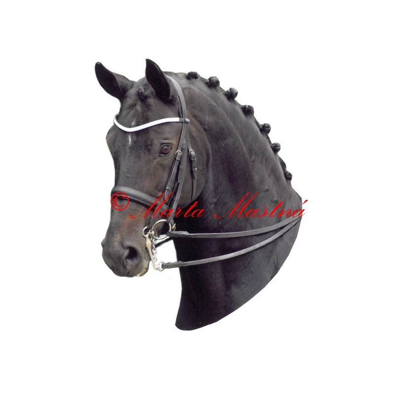 Samolepka teplokrevník drezura