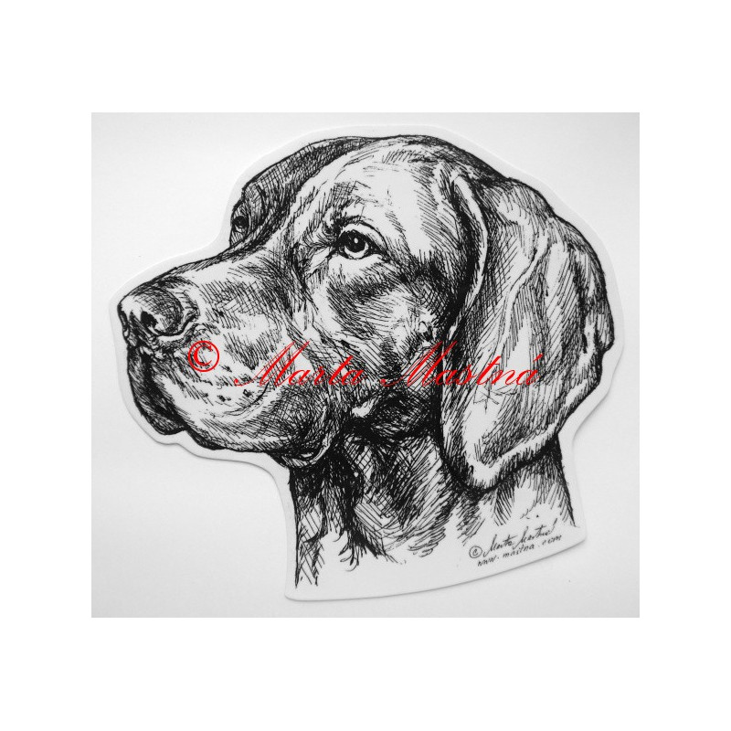 Maďarský ohař - vyžla