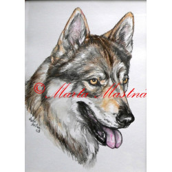 Autorský tisk československý vlčák