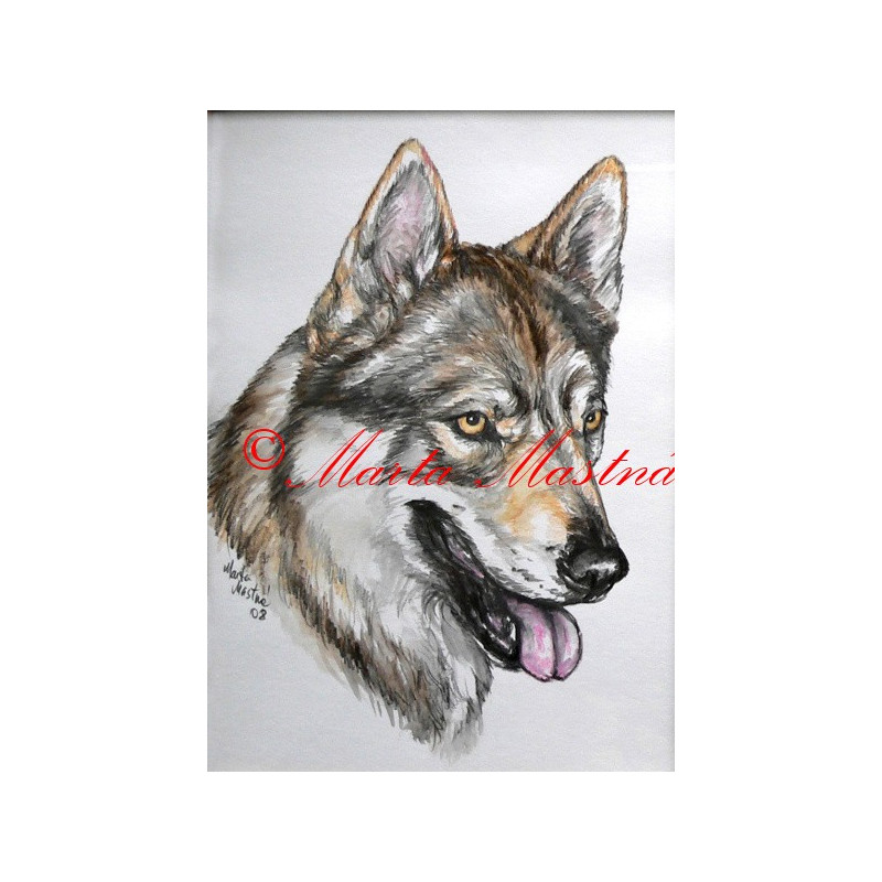 Autorský tisk československý vlčák