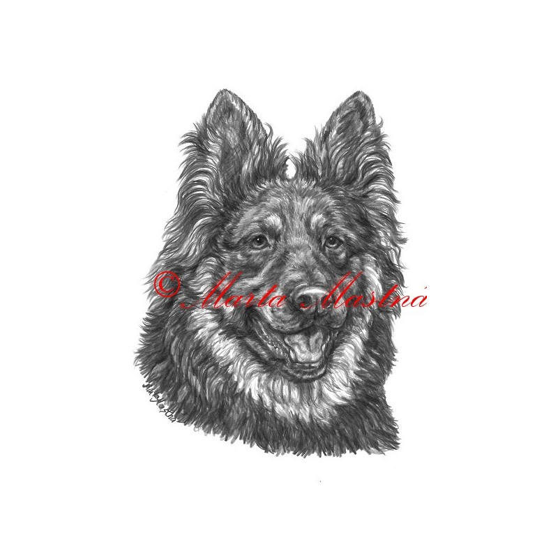 Autorský tisk chodský pes