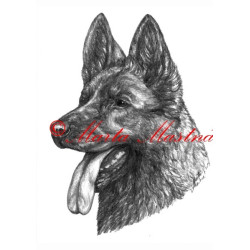 Autorský tisk německý ovčák