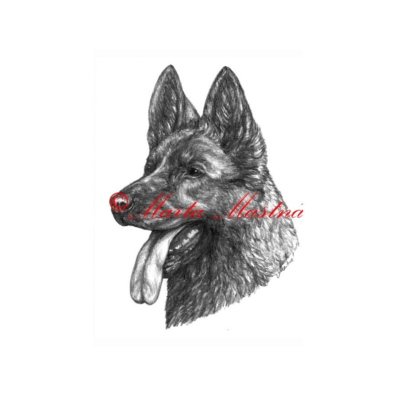 Autorský tisk německý ovčák