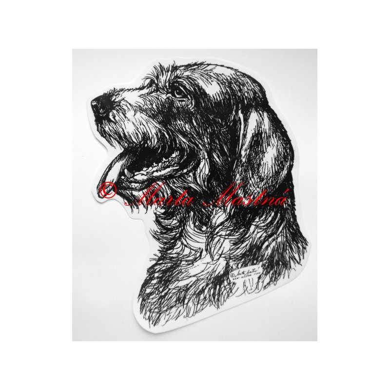 Český fousek, německý ohař