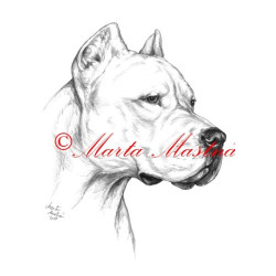 Autorský tisk argentinská doga