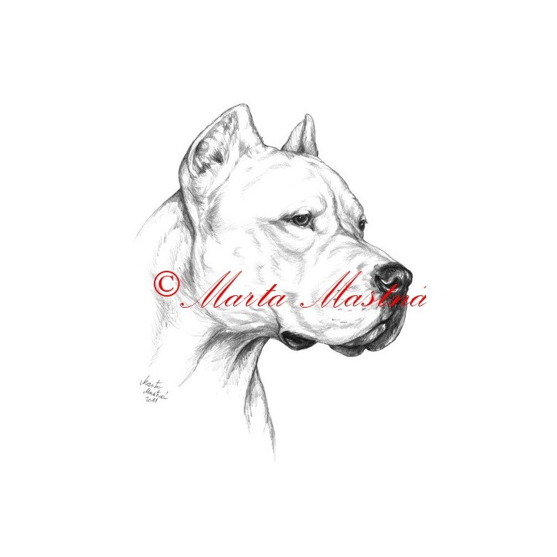Autorský tisk argentinská doga