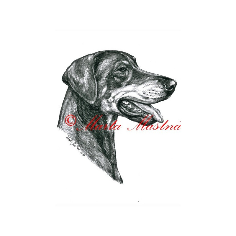 Autorský tisk dobrman