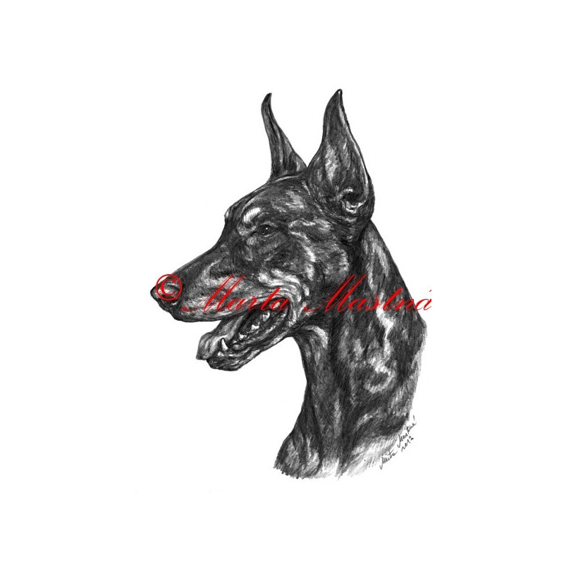 Autorský tisk dobrman