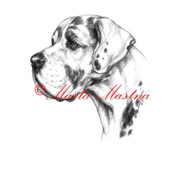 Autorský tisk německá doga