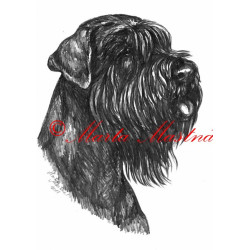 Autorský tisk knírač