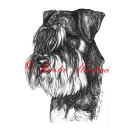 Autorský tisk knírač