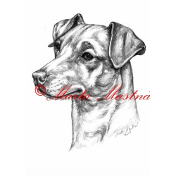 Autorský tisk pinč