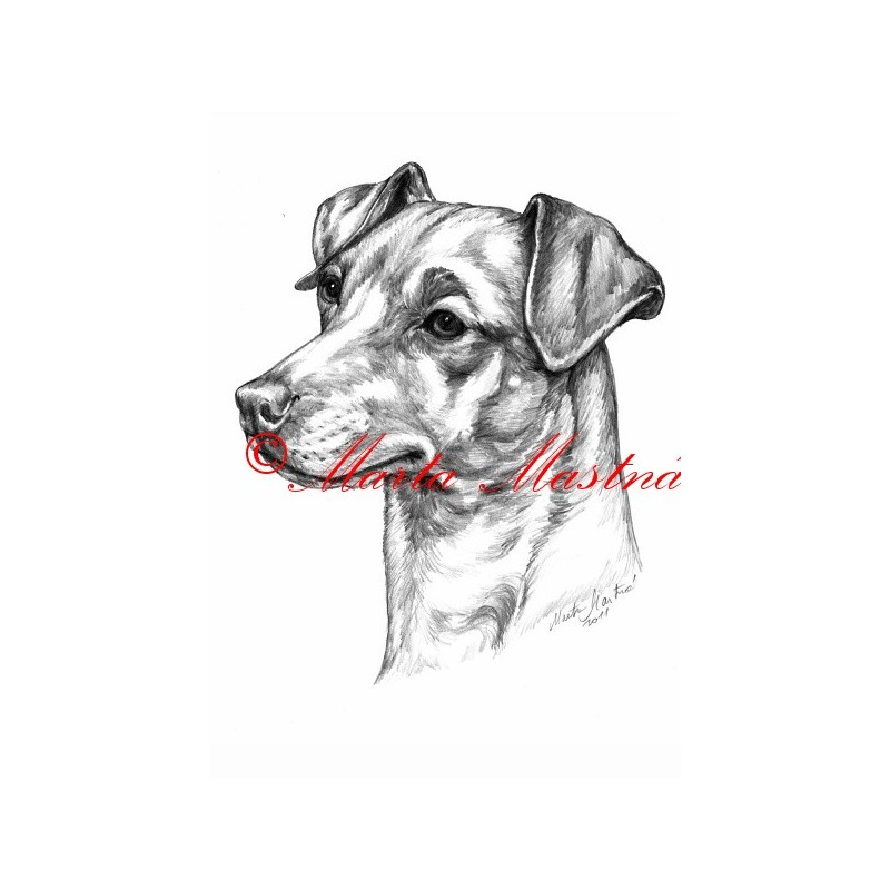 Autorský tisk pinč