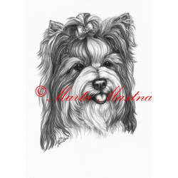 Autorský tisk biewer, jorkšír