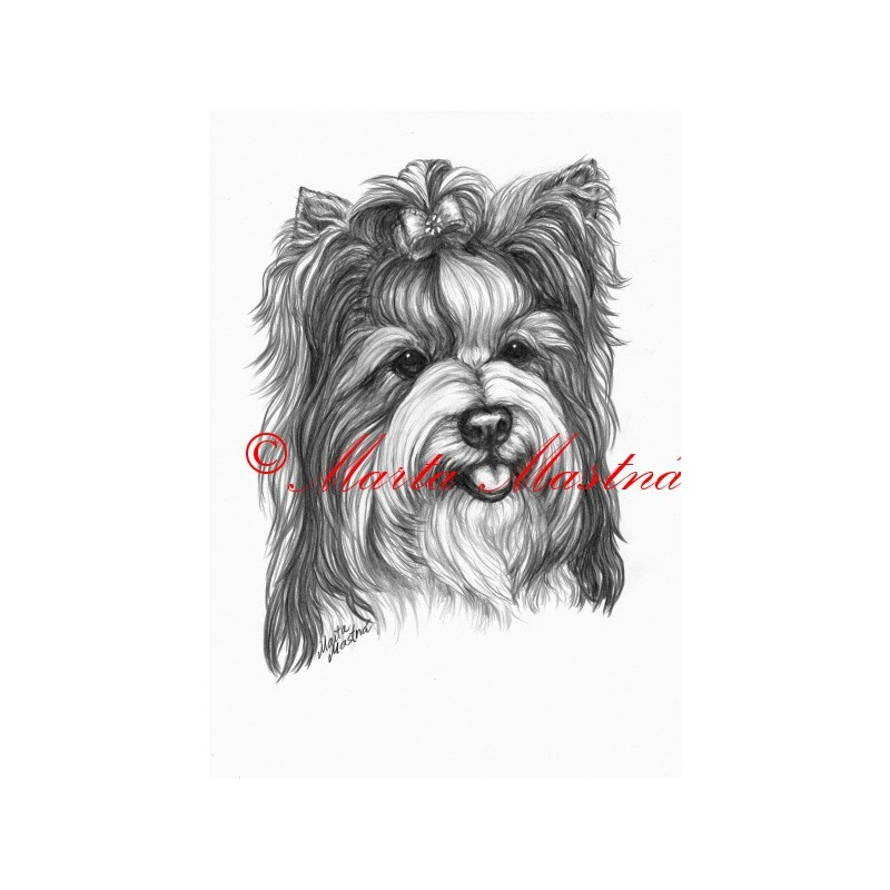 Autorský tisk biewer, jorkšír