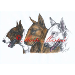 Autorský tisk bulteriér